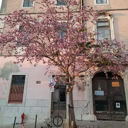 Farinhas - Authentic Flat Set In The Heart Of 公寓 Lisboa